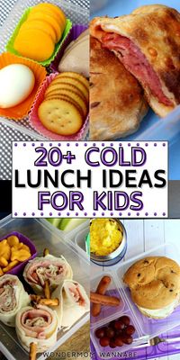 Discover tasty and fun Cold Lunch Ideas for Kids with our easy recipes! From colorful wraps to creative bento boxes, find meals your kids will love. Perfect for school or on-the-go, these lunches are simple to prepare and packed with nutrition. Make lunchtime exciting and delicious with these kid-friendly ideas!