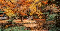 The autumn wonderland just 40 minutes outside of Melbourne