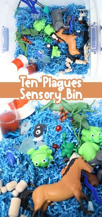 Ten Plagues Sensory Bin