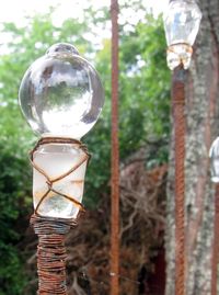 Glass Stoppers in the Garden | Looking At Glass