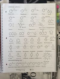 Organic Chemistry Notes #handwriting #notes #college