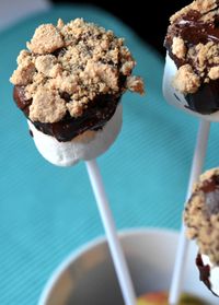 Smores Pops #recipe perfect for #summer fun