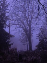 purple haze #fog #cottagecore #dream #nostalgia #backrooms #purple