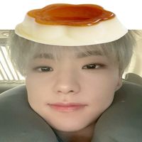 hoshi seventeen Pudding pudding pudding icon selca