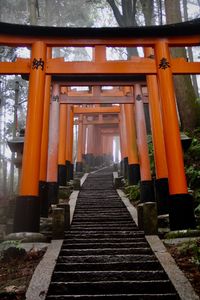 5 things to do in Kyoto ... Fushimi Inari Shrine, the Golden Temple, & more