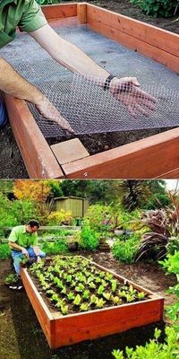 How To Build a Simple Raised Bed Plant? - Engineering Discoveries