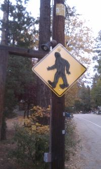 Big Foot Crossing.