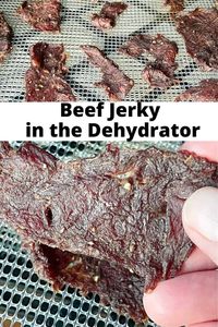 Making Homemade Beef Jerky in the dehydrator is a fun and interactive project with delicious results. Our whole family loves it when we have a batch of homemade jerky in the food dehydrator. My homemade recipe checks off all the flavor boxes: it’s salty, smokey, and a little sweet. #beefjerky #beefjerkydehydrator