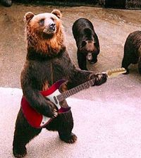 Bear with guitar