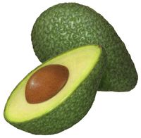 Food illustration of a whole green avocado with a cut avocado half.