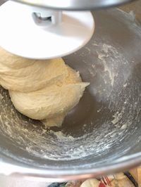 Naturally Leavened AKA: "Sourdough" Chocolate Babka