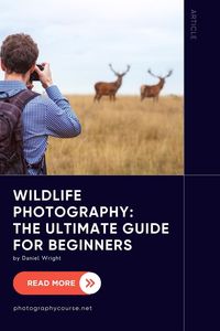 Our guide to wildlife photography includes pro tips and techniques to help you capture exceptional images of nature and wildlife. We have covered camera gear, clothing, choosing locations, camera settings, composition, and more. Click/Tap to learn more