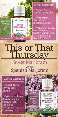 Spanish Marjoram is often confused with Sweet Marjoram. These oils have different key constituents which change the therapeutic properties that each affect. Spanish Marjoram is similar to other 1.8 Cineole rich oils like Eucalyptus and Rosemary. Sweet Marjoram is similar to other Terpinene-4-ol rich oils like Tea Tree and Lavender.