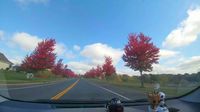 Driving by Rosemount, Minnesota to see Fall colors #Youtube #Video