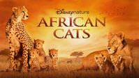 Watch Disneynature African Cats | Full movie | Disney+