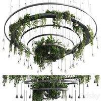 Circle pot light pendant plant light hanging 12 - Indoor - 3D model