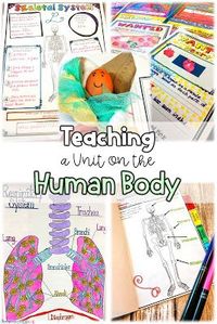 Human Body | Engage students in learning about ten different body systems with this bundle of varied activities including webquests, nonfiction reading, doodle sketch notes, flipbooks, and projects