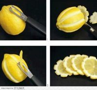 DIY Lemon Flower Cutting DIY Projects