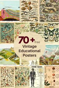 A wonderful free collection of vintage educational posters including the complete Adolphe Millot collection of natural history illustrations.  #educationalposters #adolphemillot