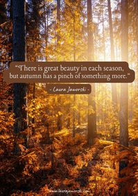 50 Fall Quotes to Celebrate the Beauty of the Season 🍂