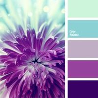 1000+ images about Master The Art of Soulful Branding - Paulina Stevenson on Pinterest | Color Palettes, Color and Color Schemes