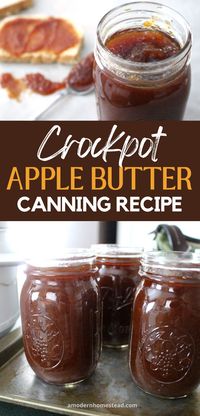 Canning Apple Butter (plus best tips!)