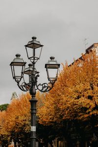 A Lantern and Autumnal Trees in a Park · Free Stock Photo