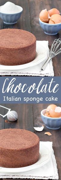 Chocolate Italian Sponge Cake (Pan di Spagna): you only need 4 ingredients for this recipe - no baking powder, no butter, no oil!