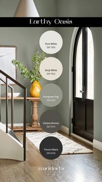 These are simple & easy to use paint palettes that are made for everyone. You can use this for real paint combinations; or just inspiration for color theory in your home. Good luck! :) 