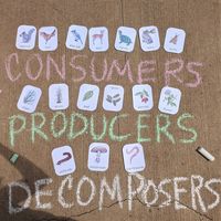 Examples of producers, consumers, and decomposers