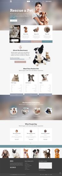 Share all the detail about your animal shelter using Bridge WordPress theme!  #wordpress #theme #design #layout #webdesign #bridge #business #professional #animals #pet #shelter #rescue #adoption