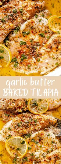 Easy Garlic Butter Oven Baked Tilapia seasoned with a classic blend of lemon, garlic, melted butter and paprika. Simple and insanely good! #tilapia #seafood #fish #dinner