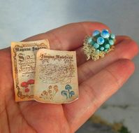 "* PRINTABLE DIGITAL DOWNLOAD Note: if you want the physic item, please, use this link please: https://www.etsy.com/listing/450236410/paper-miniature-two-miniature-magic Note: if you need PDF format, please, contact with me for a custom order, for the same price . You can increase the size of the print by 40% without problems of resolution. perfect for Blythes dolls. Two Miniature Magic Scrolls - Power of Magic mushrooms and fungus maleficus ► Scale: 1:12 Dollhouse ► Miniature Magic scrolls Note