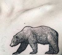 80 California Bear Tattoo Designs For Men - Grizzly Ink Ideas