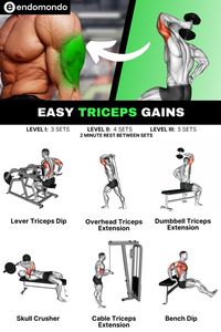 Achieve easy tricep gains with these simple, effective workouts. Build strength and size in your arms with targeted tricep exercises. Start your tricep workout today!