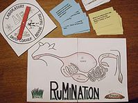 The Rumination Game