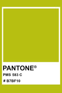 PANTONE 583 C #pantone #color #PMS #hex