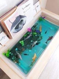 Shark Themed Sensory Play Activity. Water play with a shark theme. Shark week sensory play.