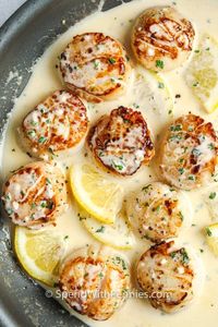 These Creamy Scallops are simmered in a lemony white-wine sauce until tender & flavorful. Serve over pasta with fresh garlic bread & a side salad! #spendwithpennies #creamyscallops #recipe #scallops #appetizer #stovetop #savory #creamy #easy #best