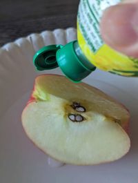 This Vitamin C and apple experiment includes free worksheets. Use this chemistry experiment for elementary and middle school grades. Students will see how Vitamin C helps preserve food. Includes a second experiment. Also includes a free printable.