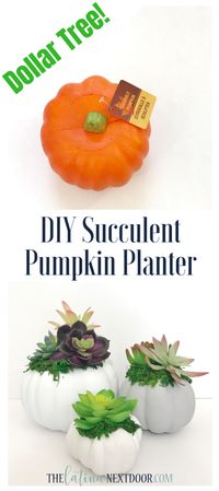 DIY Dollar Tree Fall Succulent Pumpkin Planter 1 DIY Dollar Tree Fall Succulent Pumpkin Planter