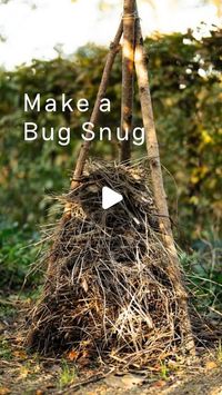 OmVed Gardens on Instagram: "Here’s how to make a Bug Snug to help provide shelter for insects and other garden residents over winter 🪲

OmVed’s Landscape Gardener John explains how it’s done with this really simple method. 

We’re reposting this one from the archive as it’s the perfect time of year to give this a go in your garden or green space, let us know how you get on!

🎥 @willhearlephoto 

#omvedgardens #autumngarden #bughotel #bugsnug #gardenjobs #Wildlifeprotection #allotmentlife #rewildyourlife #halloween"