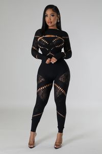 Mesh Jumpsuit - Black Mesh Jumpsuit - mesh jumpsuit long sleeve Women Streetwear Jumpsuits For the Women who want Long Sleeve Bodycon Rompers Jumpsuit Skinny Black or Blue Mesh See Though.