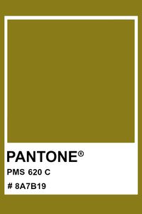 PANTONE 620 C #pantone #color #PMS #hex