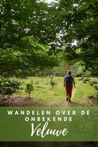 Wandelen over ongebaande paden op de Veluwe