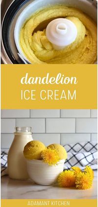 Indulge in the unique flavor of Dandelion Ice Cream, a standout in Easy Dandelion Recipes. Crafted with wild foraged dandelion petals and simple pantry staples, this edible flower ice cream is a delightful spring treat. Perfect for those exploring wild food foraging recipes and homemade desserts. Discover more edible flowers recipes and easy desserts at adamantkitchen.com