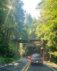 Entrance sign for Mt. Rainier National Park #aesthetic #aestheticwallpaper #travel #pnw #outdoor #adventure #washington #nationalparks #mtrainier #forest