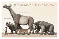 North American Megafauna