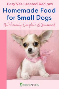 Some small dogs have very particular taste. They want only the best! Dr. Thompson shows you how to make 4 easy recipes for homemade dog food for small dogs. ❤️🐶