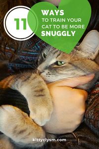 Don't have quite the cuddliest cat in the world? Were hoping to have a nice snuggle with your feline friend here or there but are finding it's just not happening? Wish your pet liked to be petted more?